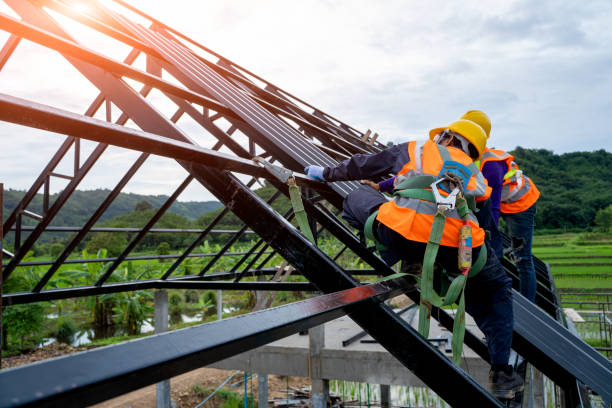 Best Roof Gutter Cleaning  in Milford, IA