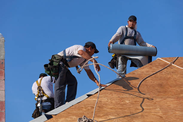 Best Roof Maintenance Services  in Milford, IA